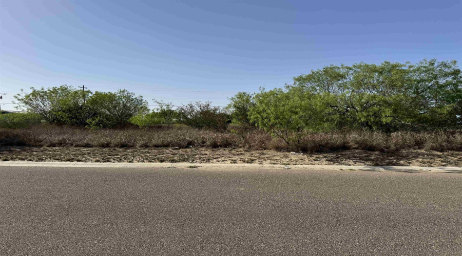 2605 Glenn St, Zapata, Texas 78075, ,Land,For Sale,2605 Glenn St,20254555
