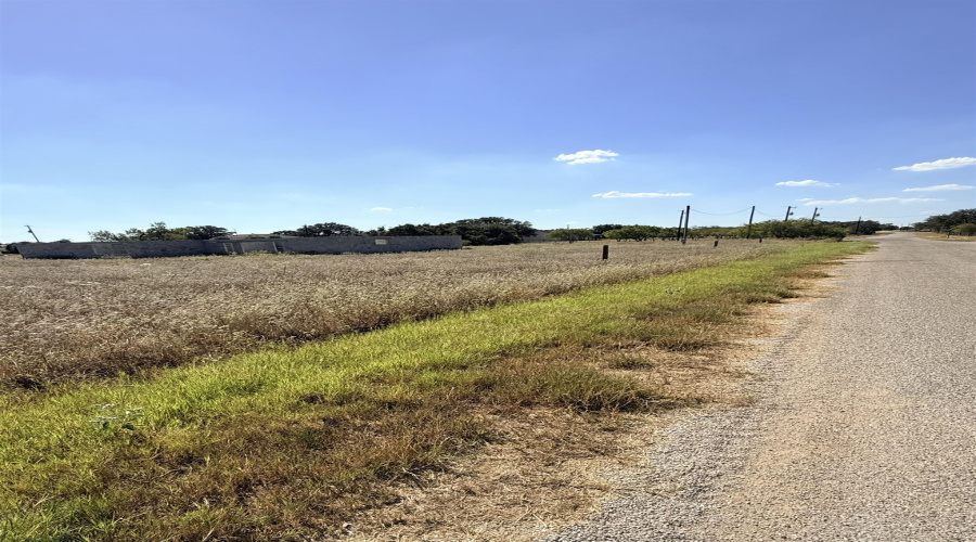 382 CR 7755, DEVINE, Texas 78016, ,Land,For Sale,382 CR 7755,20254558