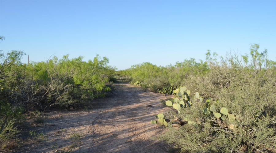 212 Sal si Puedes, Laredo, Texas 78041, ,Land,For Sale,212 Sal si Puedes,20254562