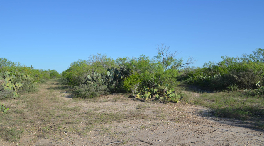 212 Sal si Puedes, Laredo, Texas 78041, ,Land,For Sale,212 Sal si Puedes,20254562