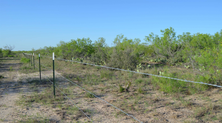 212 Sal si Puedes, Laredo, Texas 78041, ,Land,For Sale,212 Sal si Puedes,20254562