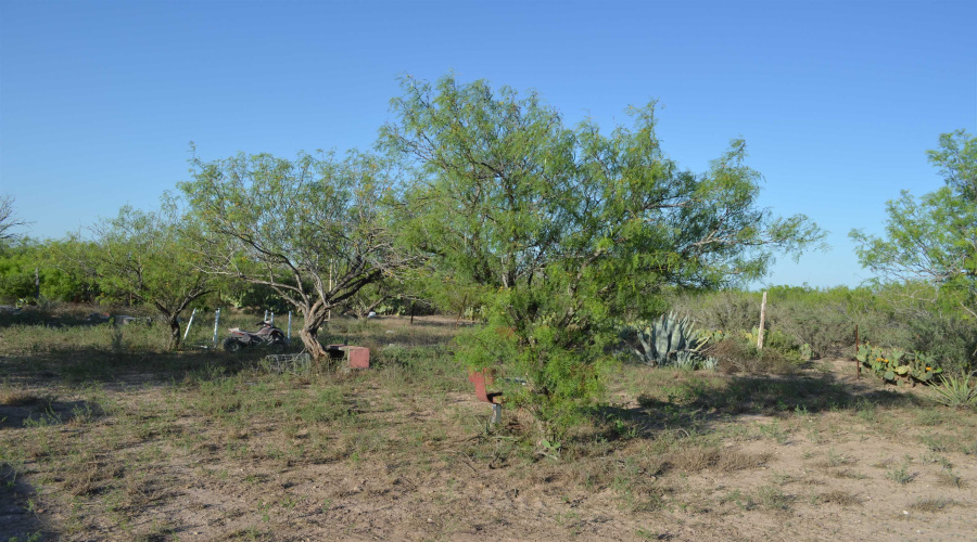 212 Sal si Puedes, Laredo, Texas 78041, ,Land,For Sale,212 Sal si Puedes,20254562