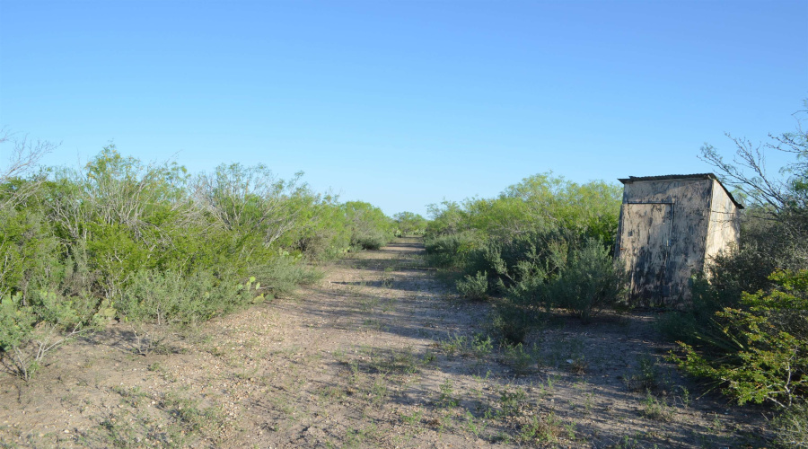 212 Sal si Puedes, Laredo, Texas 78041, ,Land,For Sale,212 Sal si Puedes,20254562