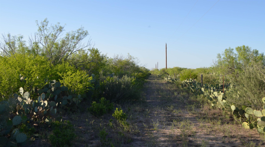 212 Sal si Puedes, Laredo, Texas 78041, ,Land,For Sale,212 Sal si Puedes,20254562