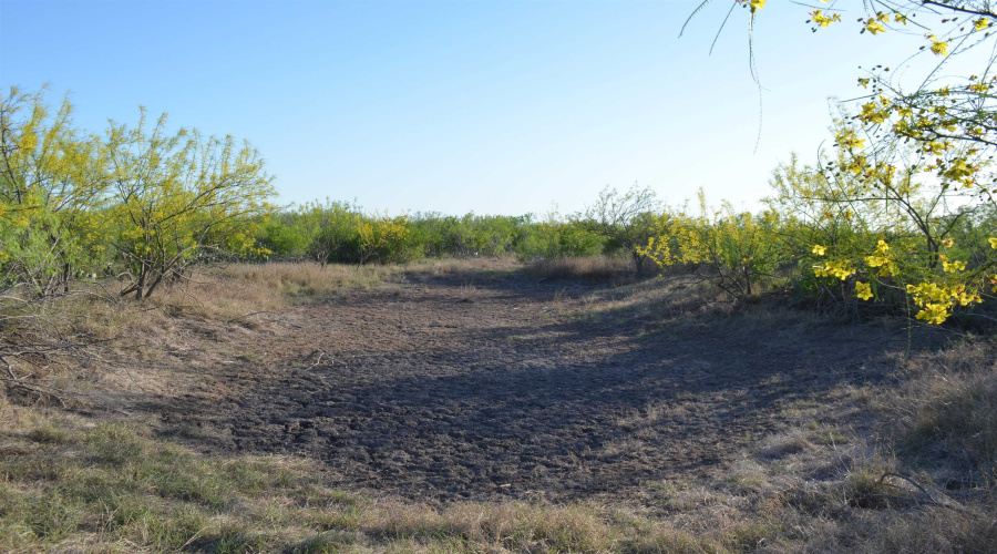 212 Sal si Puedes, Laredo, Texas 78041, ,Land,For Sale,212 Sal si Puedes,20254562