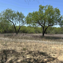 1 Well Ln, Laredo, Texas 78045, ,Land,For Sale,1 Well Ln,20254576