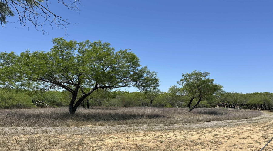 1 Well Ln, Laredo, Texas 78045, ,Land,For Sale,1 Well Ln,20254576