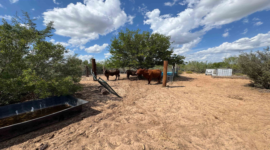 528 Ranch Rd. 7012B, Laredo, Texas 78046, ,Land,For Sale,528 Ranch Rd. 7012B,20254644