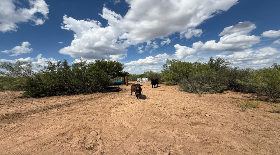 528 Ranch Rd. 7012B, Laredo, Texas 78046, ,Land,For Sale,528 Ranch Rd. 7012B,20254644