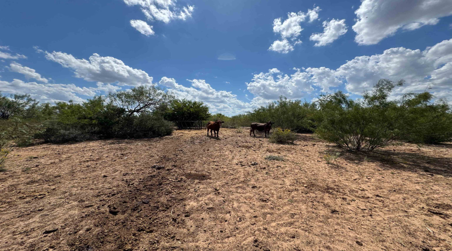 528 Ranch Rd. 7012B, Laredo, Texas 78046, ,Land,For Sale,528 Ranch Rd. 7012B,20254644