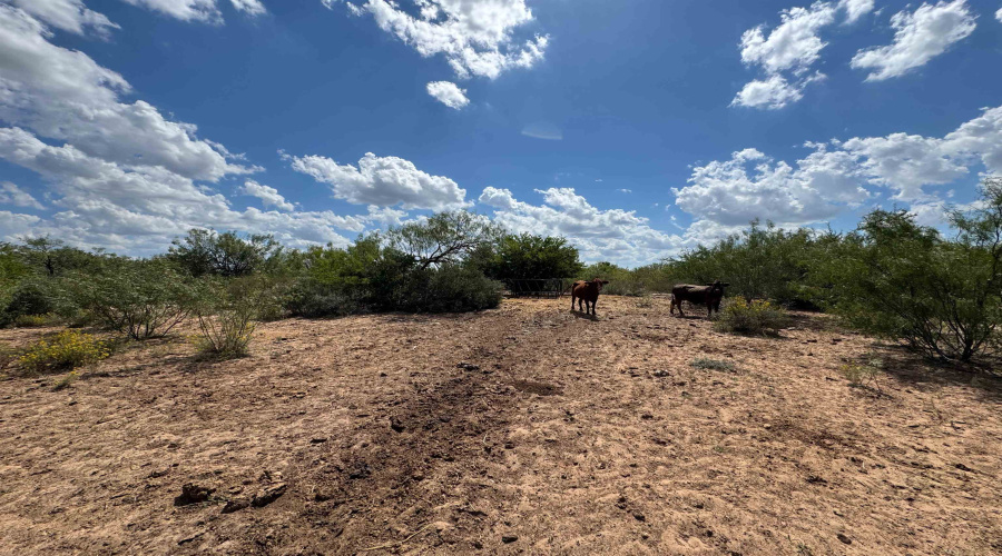528 Ranch Rd. 7012B, Laredo, Texas 78046, ,Land,For Sale,528 Ranch Rd. 7012B,20254644