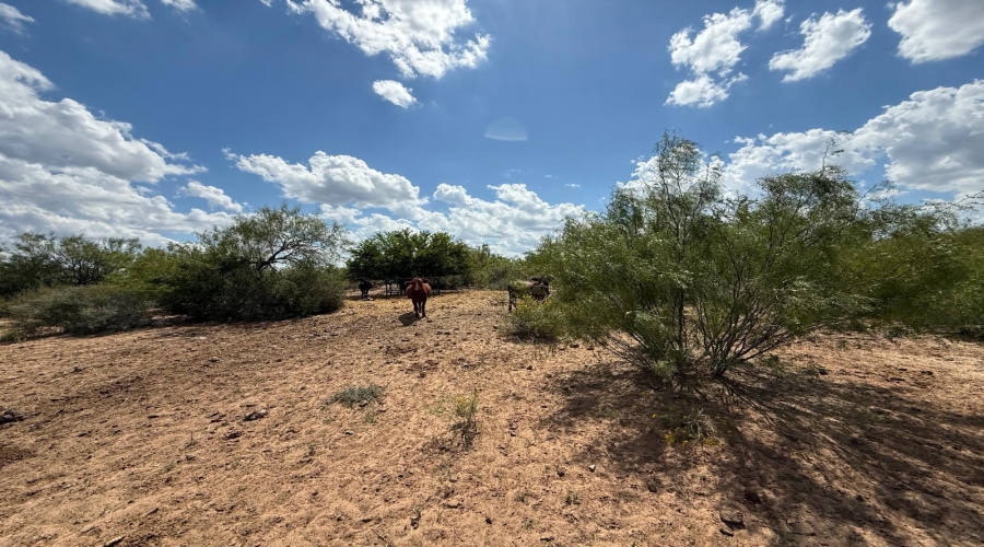 528 Ranch Rd. 7012B, Laredo, Texas 78046, ,Land,For Sale,528 Ranch Rd. 7012B,20254644