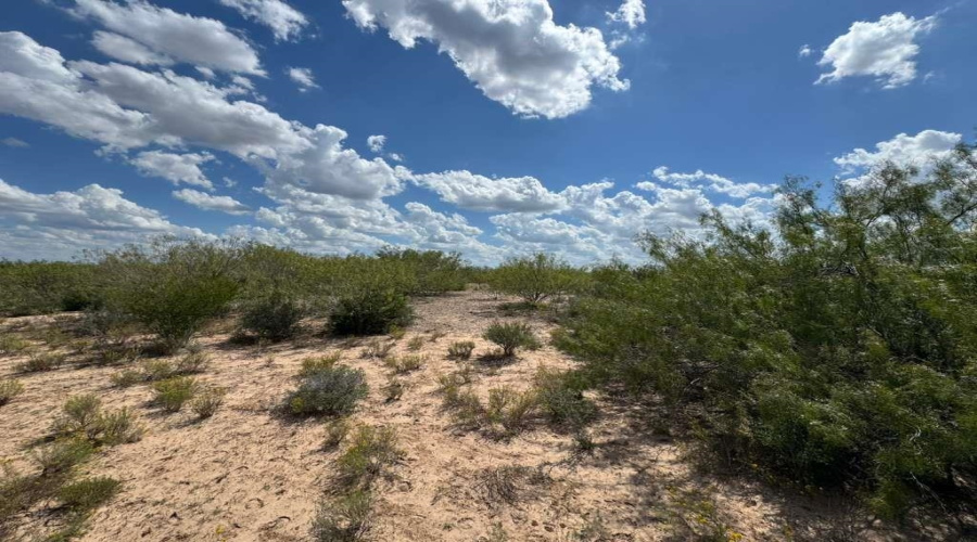528 Ranch Rd. 7012B, Laredo, Texas 78046, ,Land,For Sale,528 Ranch Rd. 7012B,20254644