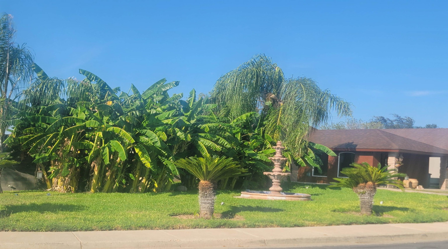 702 Zebra Dr, LAREDO, Texas 78045, 3 Bedrooms Bedrooms, 6 Rooms Rooms,2 BathroomsBathrooms,Residential,For Rent,702 Zebra Dr,20254665