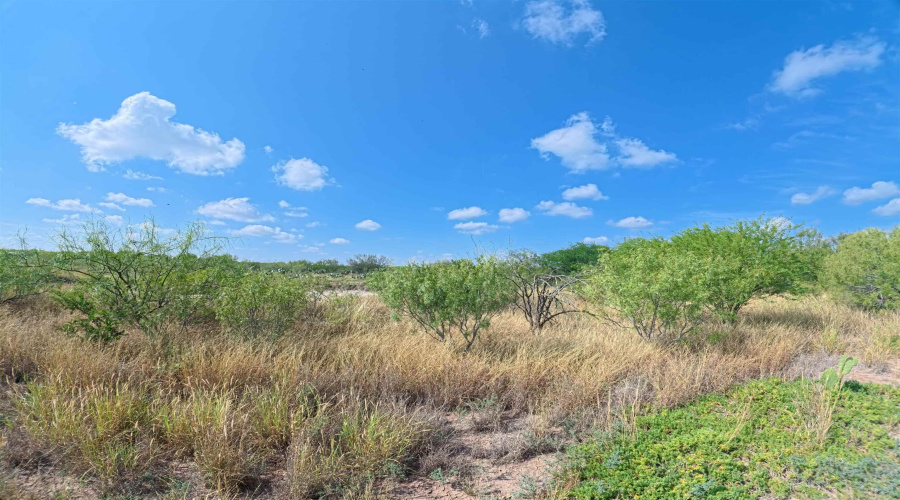 PT of 23 S TX State Hwy 359/La Coma Rd, Laredo, Texas 78043, ,Land,For Sale,PT of 23 S TX State Hwy 359/La Coma Rd,20254678
