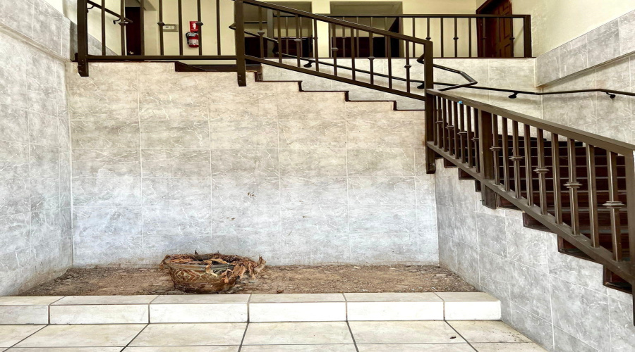 102 E Calton Rd, Laredo, Texas 78041, 6 Rooms Rooms,4 BathroomsBathrooms,Commercial retail/office,For Rent,102 E Calton Rd,20254684