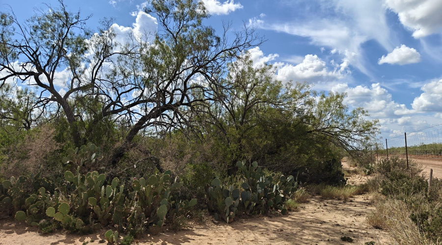 362 Los Huisaches Rd., Laredo, Texas 78041, ,Land,For Sale,362 Los Huisaches Rd.,20254688