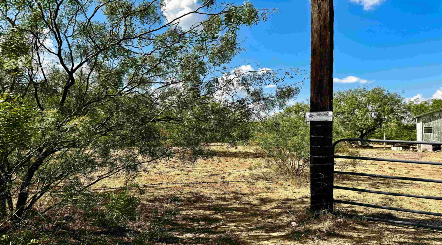 310 Rancho Pila Rd, LAREDO, Texas 78045-0000, ,Land,For Rent,310 Rancho Pila Rd,20254738