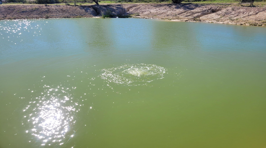 1000 U.S. Hwy 359, Mirando City, Texas 78369, ,Land,For Sale,1000 U.S. Hwy 359,20254747