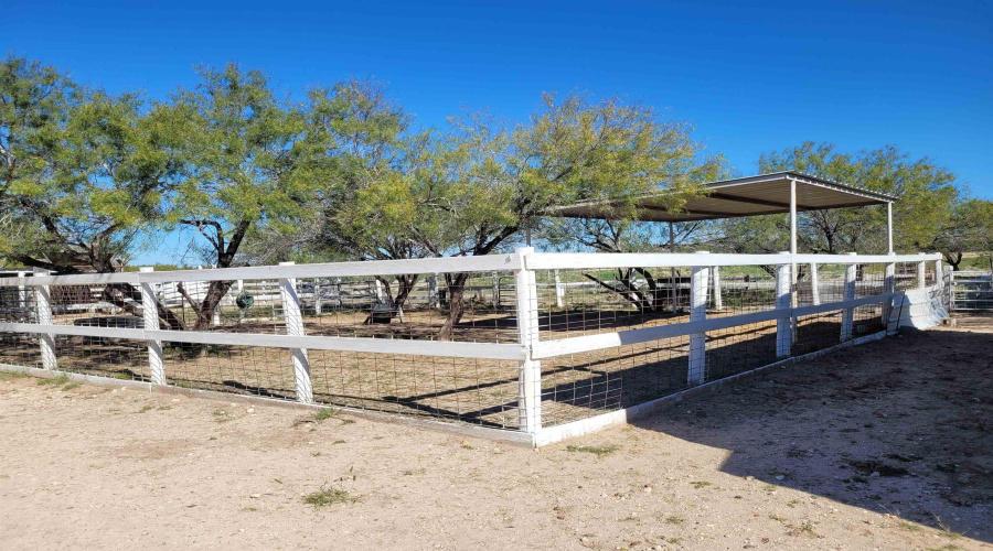 1000 U.S. Hwy 359, Mirando City, Texas 78369, ,Land,For Sale,1000 U.S. Hwy 359,20254747