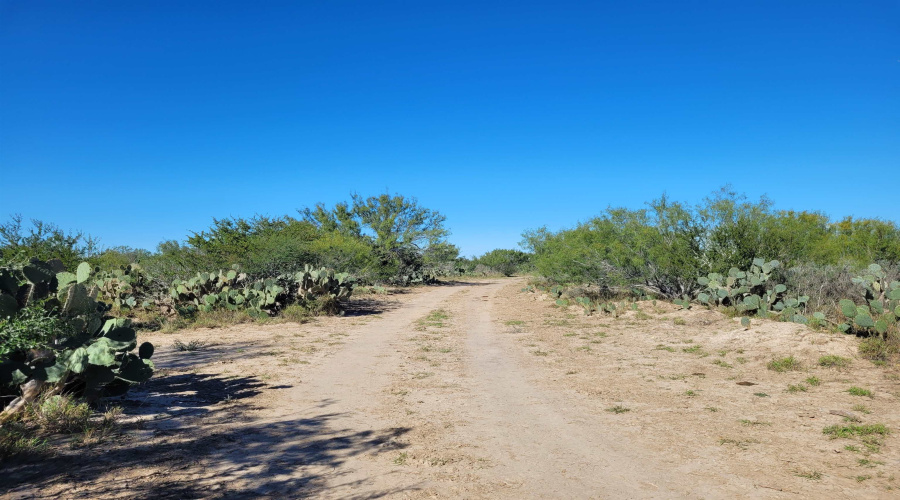 1000 U.S. Hwy 359, Mirando City, Texas 78369, ,Land,For Sale,1000 U.S. Hwy 359,20254747