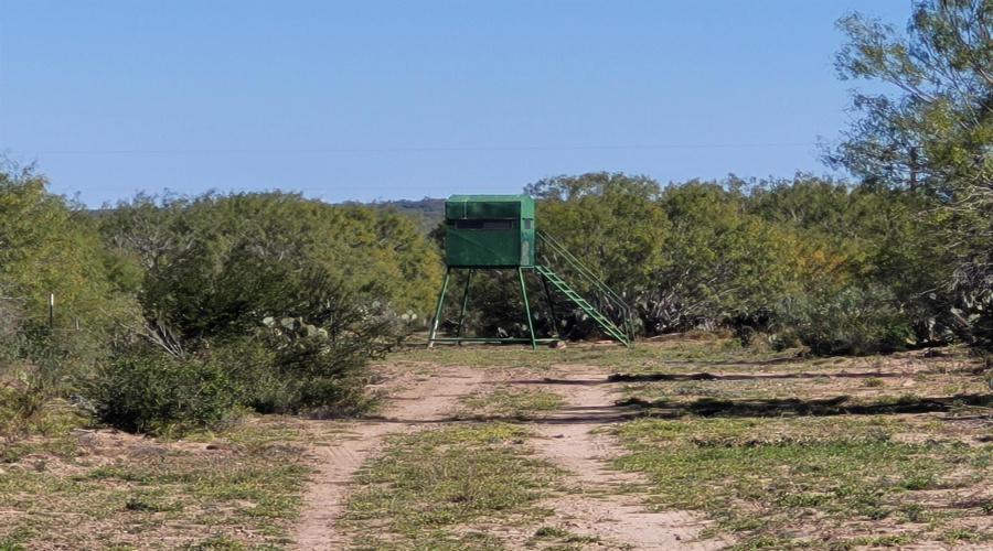 1000 U.S. Hwy 359, Mirando City, Texas 78369, ,Land,For Sale,1000 U.S. Hwy 359,20254747