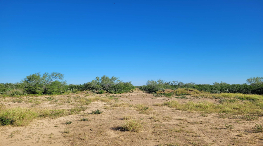 1000 Zamora Rd., Encinal, Texas 78079, ,Land,For Sale,1000 Zamora Rd.,20250941