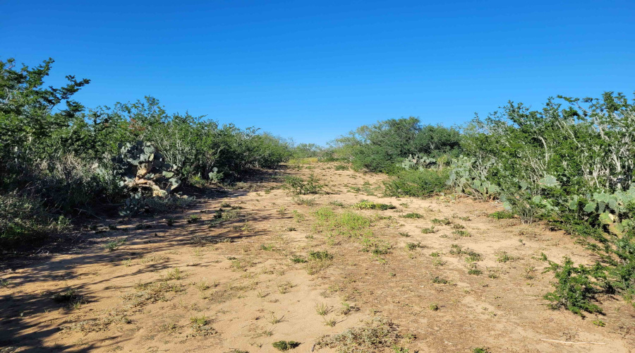 1000 Zamora Rd., Encinal, Texas 78079, ,Land,For Sale,1000 Zamora Rd.,20250941