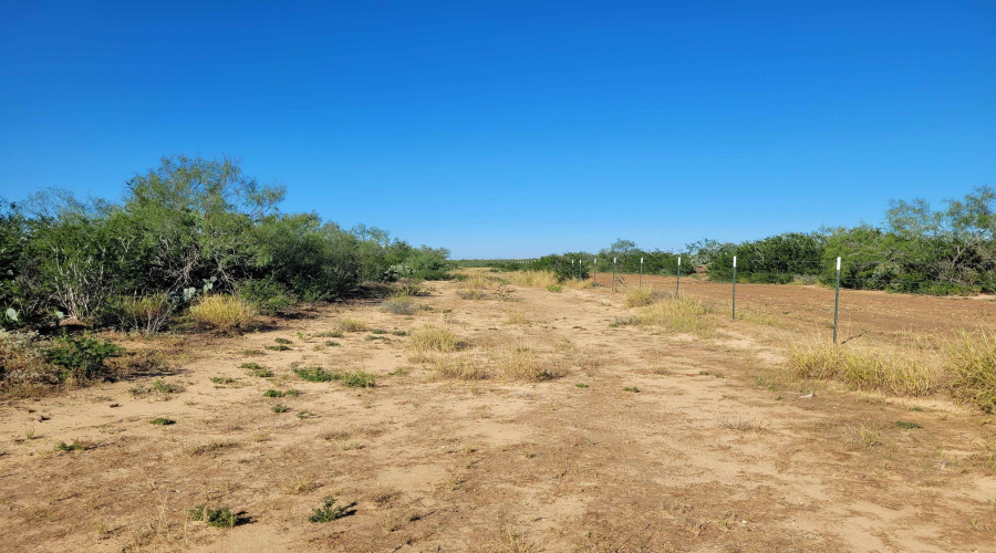 1000 Zamora Rd., Encinal, Texas 78079, ,Land,For Sale,1000 Zamora Rd.,20250941