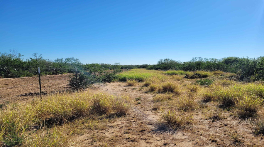 1000 Zamora Rd., Encinal, Texas 78079, ,Land,For Sale,1000 Zamora Rd.,20250941