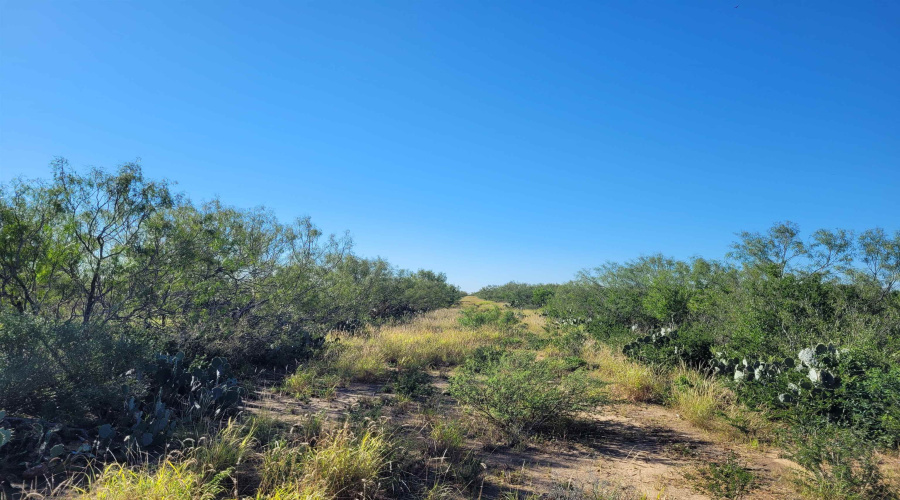 1000 Zamora Rd., Encinal, Texas 78079, ,Land,For Sale,1000 Zamora Rd.,20250941