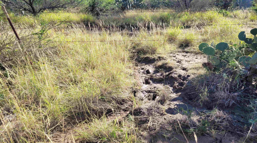 1000 Zamora Rd., Encinal, Texas 78079, ,Land,For Sale,1000 Zamora Rd.,20250941