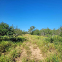 1000 Zamora Rd., Encinal, Texas 78079, ,Land,For Sale,1000 Zamora Rd.,20250941