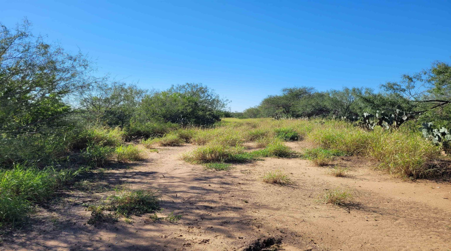 1000 Zamora Rd., Encinal, Texas 78079, ,Land,For Sale,1000 Zamora Rd.,20250941