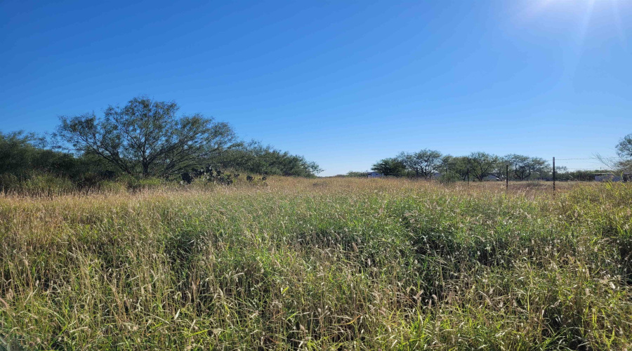 1000 Zamora Rd., Encinal, Texas 78079, ,Land,For Sale,1000 Zamora Rd.,20250941