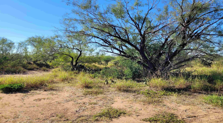 1000 Zamora Rd., Encinal, Texas 78079, ,Land,For Sale,1000 Zamora Rd.,20250941