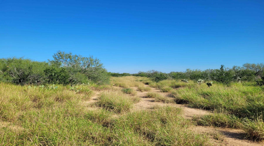 1000 Zamora Rd., Encinal, Texas 78079, ,Land,For Sale,1000 Zamora Rd.,20250941
