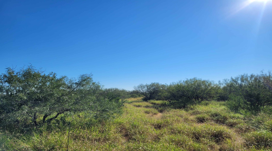 1000 Zamora Rd., Encinal, Texas 78079, ,Land,For Sale,1000 Zamora Rd.,20250941