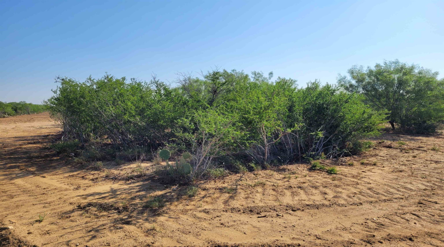 1000 U.S. Hwy 83 North, Laredo, Texas 78045, ,Land,For Sale,1000 U.S. Hwy 83 North,20254762