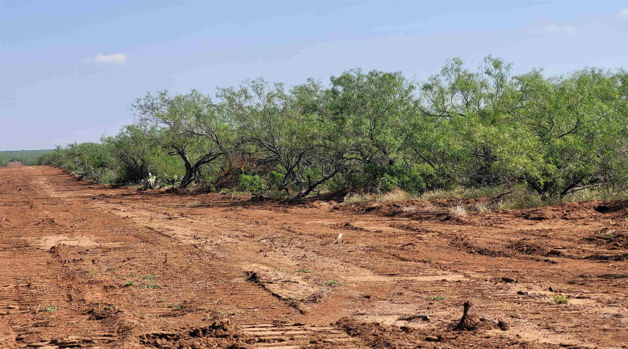 1000 U.S. Hwy 83 North, Laredo, Texas 78045, ,Land,For Sale,1000 U.S. Hwy 83 North,20254762