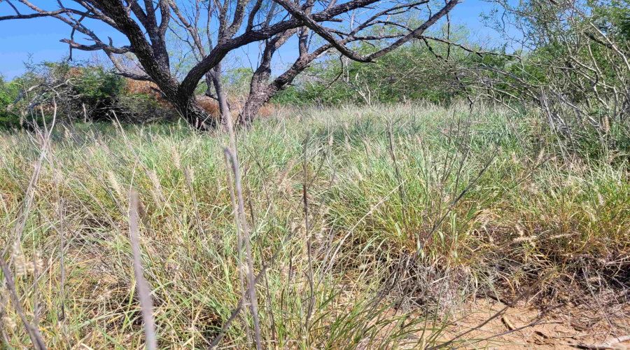 1000 U.S. Hwy 83 North, Laredo, Texas 78045, ,Land,For Sale,1000 U.S. Hwy 83 North,20254762