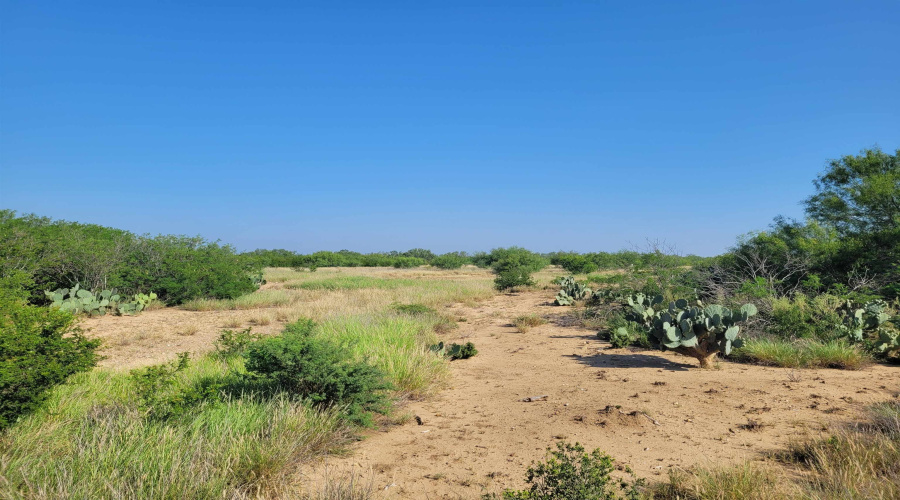 1000 U.S. Hwy 83 North, Laredo, Texas 78045, ,Land,For Sale,1000 U.S. Hwy 83 North,20254762