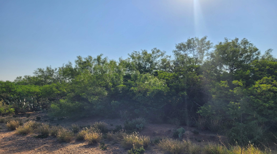 1000 U.S. Hwy 83 North, Laredo, Texas 78045, ,Land,For Sale,1000 U.S. Hwy 83 North,20254762