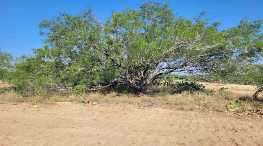 1000 U.S. Hwy 83 North, Laredo, Texas 78045, ,Land,For Sale,1000 U.S. Hwy 83 North,20254763