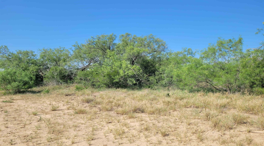 1000 U.S. Hwy 83 North, Laredo, Texas 78045, ,Land,For Sale,1000 U.S. Hwy 83 North,20254763