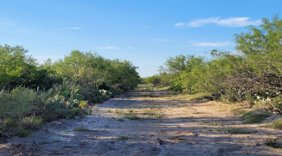 1000 ABST 1637 SUR 471, Aguilares, Texas 78369, ,Land,For Sale,1000 ABST 1637 SUR 471,20254792