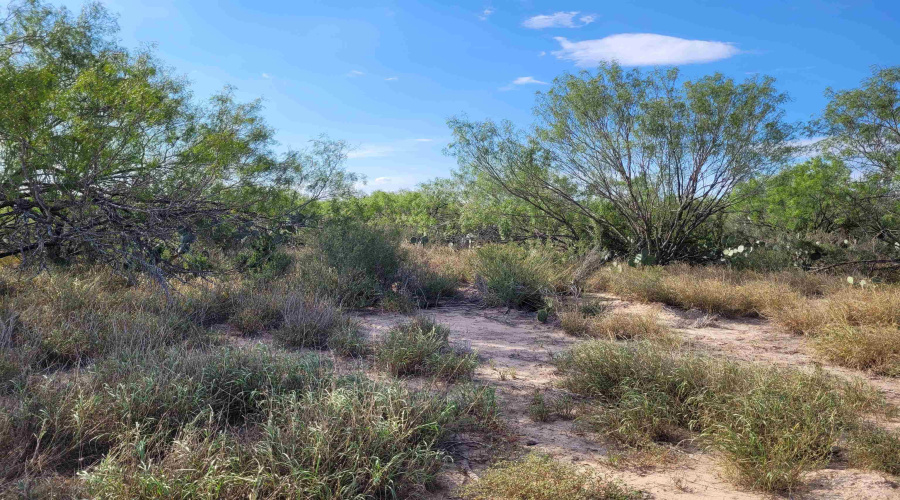 1000 ABST 1637 SUR 471, Aguilares, Texas 78369, ,Land,For Sale,1000 ABST 1637 SUR 471,20254792