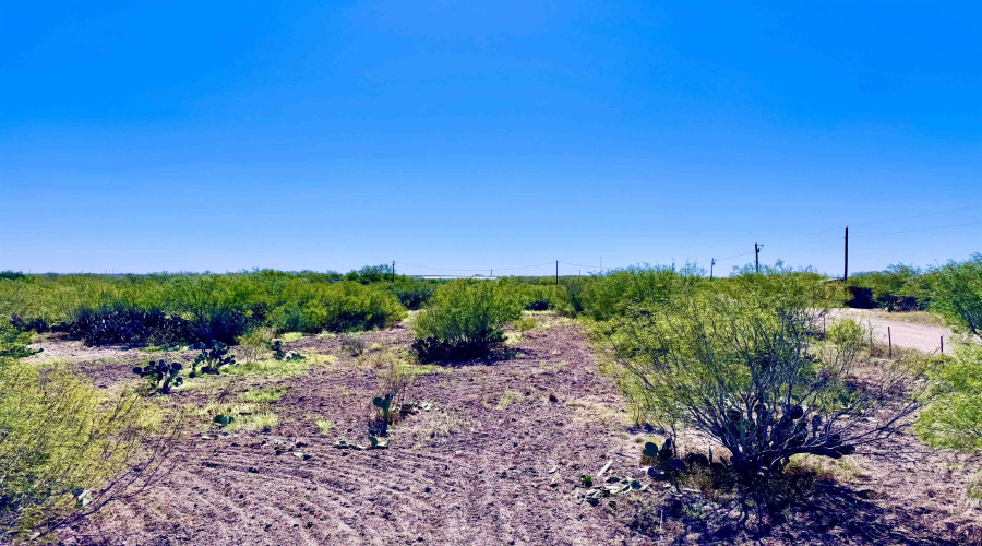 ABST 1293 SUR 1739, Laredo, Texas 78046, ,Land,For Sale,ABST 1293 SUR 1739,20254798