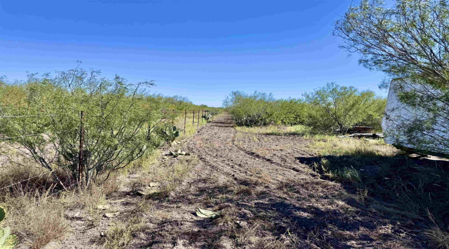 ABST 1293 SUR 1739, Laredo, Texas 78046, ,Land,For Sale,ABST 1293 SUR 1739,20254798