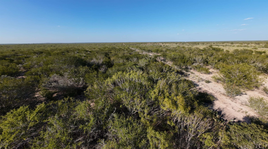 ABST 2360 SUR 54, Laredo, Texas 78043, ,Land,For Sale,ABST 2360 SUR 54,20254815